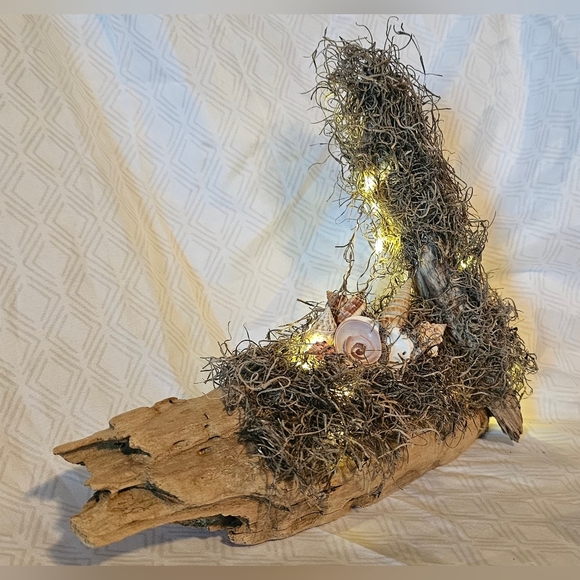 Homemade Driftwood, Seashell, And Fairy Lights Decor - Picture 3 of 5